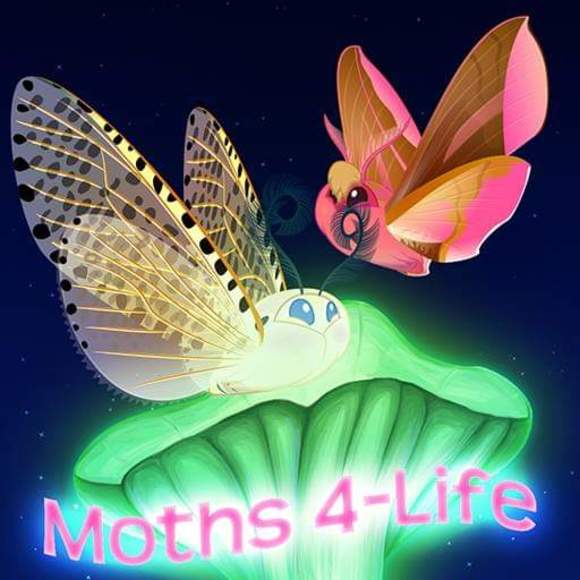 Meet your Posher, Moffs - Picture 1 of 1